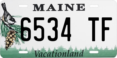 ME license plate 6534TF