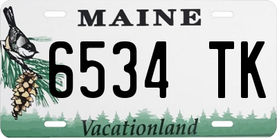 ME license plate 6534TK