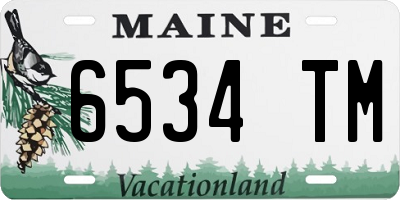 ME license plate 6534TM