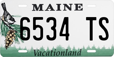 ME license plate 6534TS