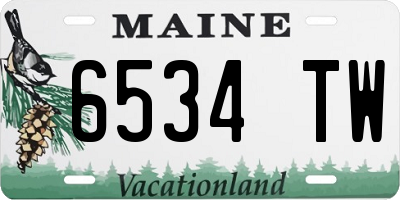 ME license plate 6534TW