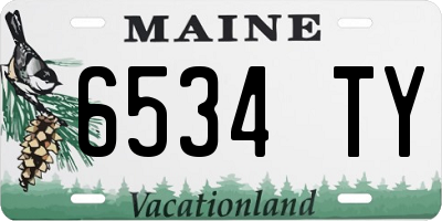 ME license plate 6534TY