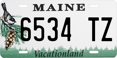 ME license plate 6534TZ