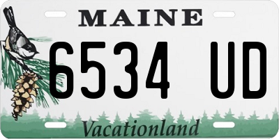 ME license plate 6534UD