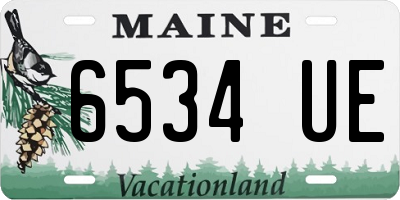 ME license plate 6534UE