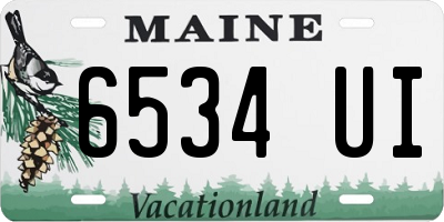 ME license plate 6534UI