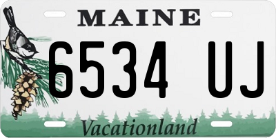 ME license plate 6534UJ