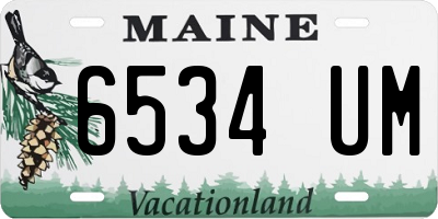 ME license plate 6534UM