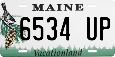 ME license plate 6534UP