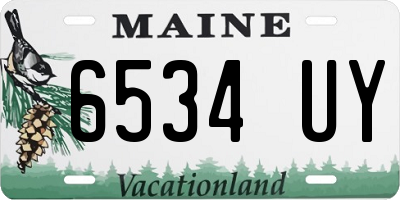 ME license plate 6534UY