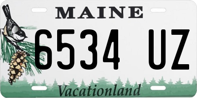 ME license plate 6534UZ
