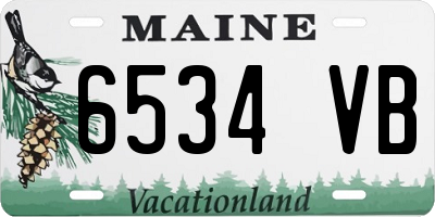 ME license plate 6534VB
