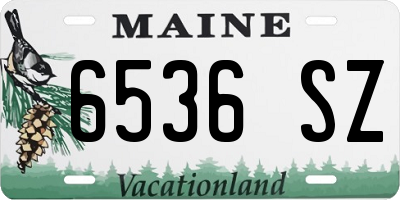 ME license plate 6536SZ