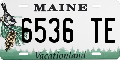 ME license plate 6536TE
