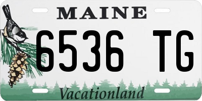 ME license plate 6536TG