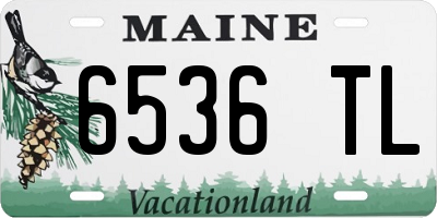 ME license plate 6536TL