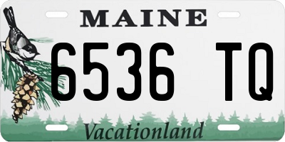 ME license plate 6536TQ