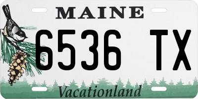 ME license plate 6536TX