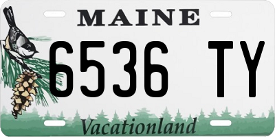 ME license plate 6536TY