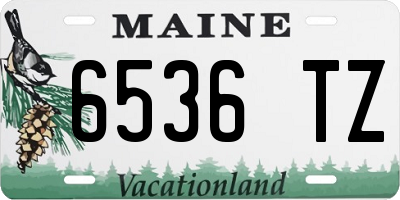 ME license plate 6536TZ