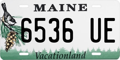 ME license plate 6536UE