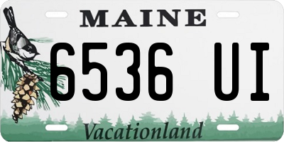 ME license plate 6536UI
