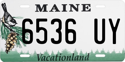 ME license plate 6536UY