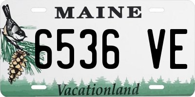 ME license plate 6536VE