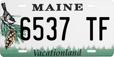 ME license plate 6537TF