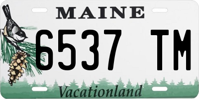ME license plate 6537TM