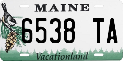 ME license plate 6538TA