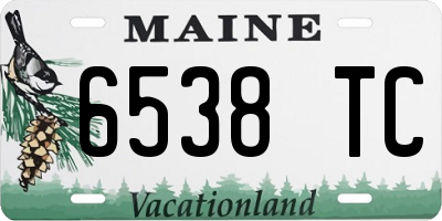 ME license plate 6538TC