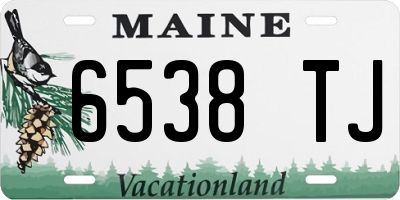 ME license plate 6538TJ