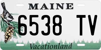 ME license plate 6538TV