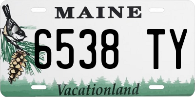 ME license plate 6538TY