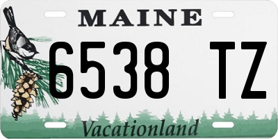 ME license plate 6538TZ