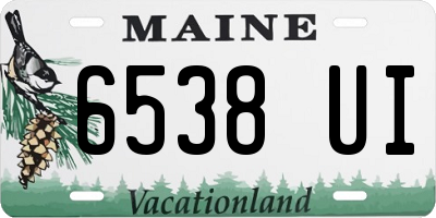 ME license plate 6538UI