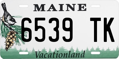ME license plate 6539TK