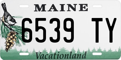 ME license plate 6539TY