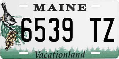 ME license plate 6539TZ