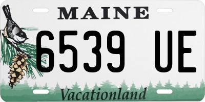 ME license plate 6539UE