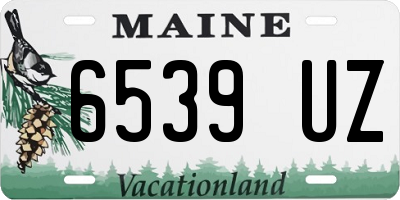 ME license plate 6539UZ