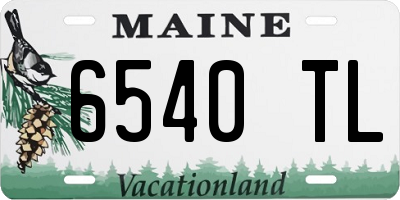 ME license plate 6540TL