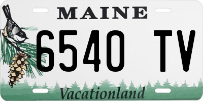 ME license plate 6540TV