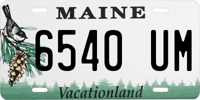 ME license plate 6540UM