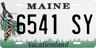 ME license plate 6541SY