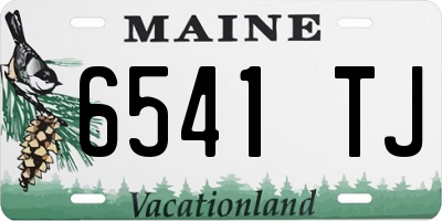ME license plate 6541TJ