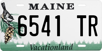 ME license plate 6541TR