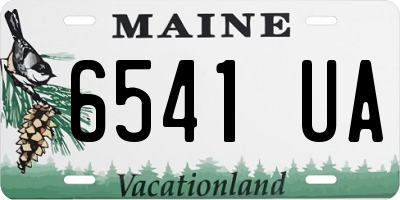 ME license plate 6541UA