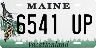 ME license plate 6541UP